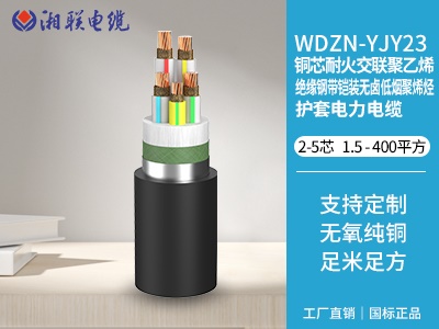 銅芯耐火交聯(lián)聚乙烯絕緣鋼帶鎧裝無鹵低煙聚烯烴護(hù)套電力電纜