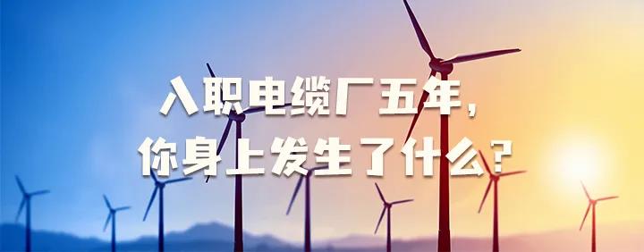 入職電纜廠五年，你身上發(fā)生了哪些變化~